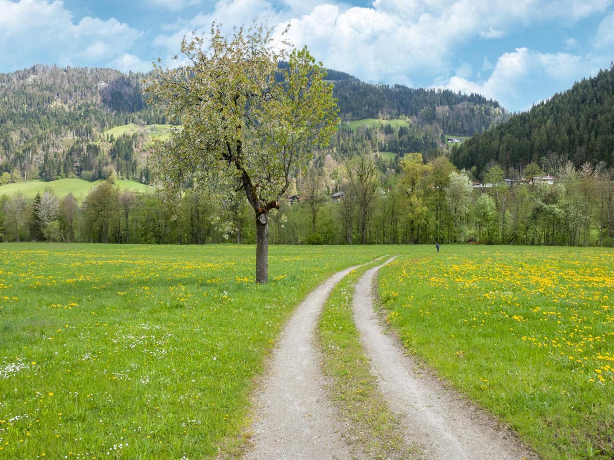 Property In Kirchbichl Kültér fotó